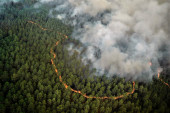 Francuska: Zaustavljeno širenje požara u regionu Žirond