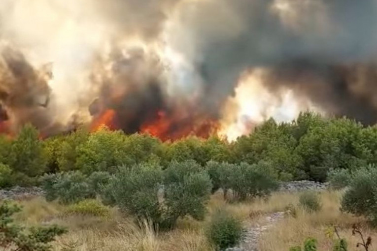 Bukti veliki požar u Šibeniku: Više od 50 vatrogasaca na terenu, vatru gase i četiri kanadera (VIDEO)