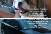 Boško daje svoj BMW za psa: Nije u pitanju nikakva šala - muškarac iz Veternika mora da reši veliki problem (FOTO)