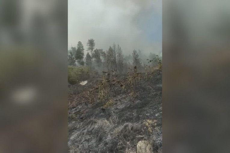 Gori šuma kod Priboja, vatra preti kućama: Požar u selima Podina i Brojanice, vatrogascima u gašenju buktinje pomažu i meštani (FOTO/VIDEO)