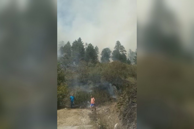 Izgorelo preko 20 hektara šume kod Priboja: Vatrogasci uspeli da lokalizuju vatrenu stihiju