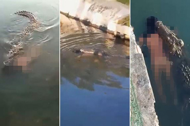 Krokodil plivao po laguni u Meksiku i vukao telo čoveka (UZNEMIRUJUĆ SNIMAK)