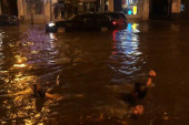 Neverovatna scena posle nevremena: Novosađanin plivao u Jevrejskoj ulici (VIDEO)