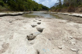 Reka presušila, pa otkrila tragove dinosaurusa stare 113 miliona godina (VIDEO)