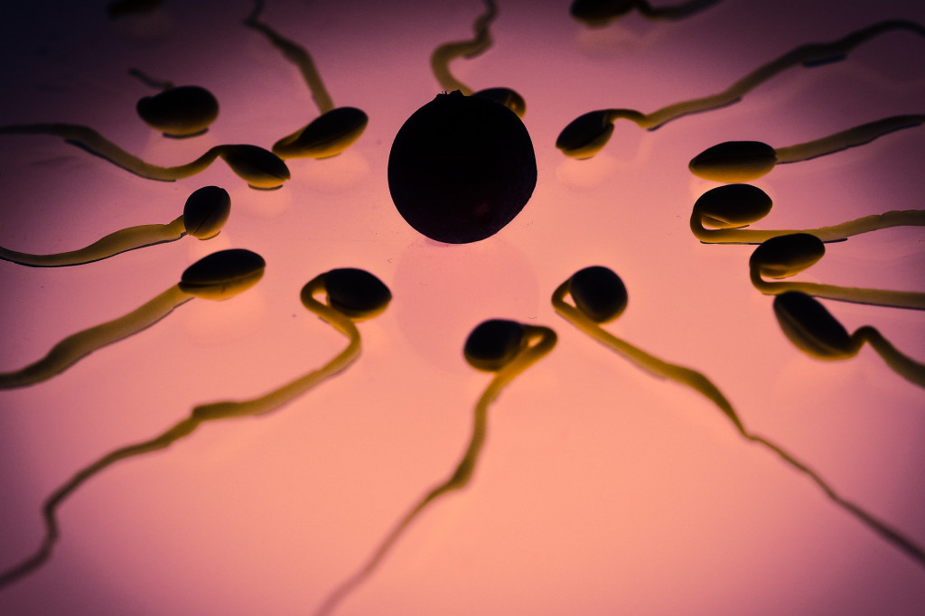 Od septembra francuski donori sperme više nisu anonimni: Moraju dati podatke - ako odbiju, njihova donacija neće biti prihvaćena