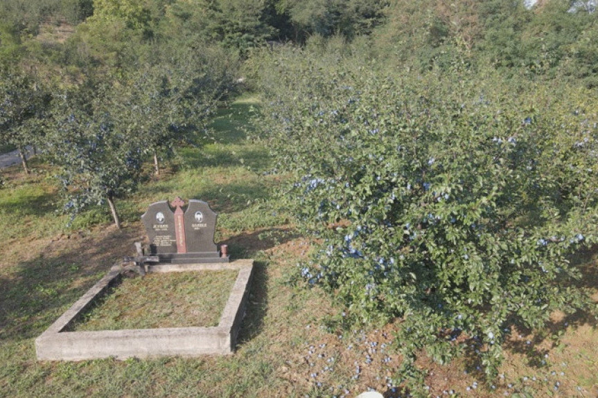 Nesvakidašnja poslednja želja jednog Osečanina: Dedu Žiku porodica sahranila u šljiviku (FOTO)