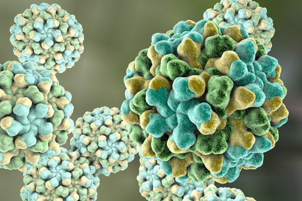 Da li je ovo novi razlog za brigu? Naučnici SZO objavili da postoje 33 rizična virusa!