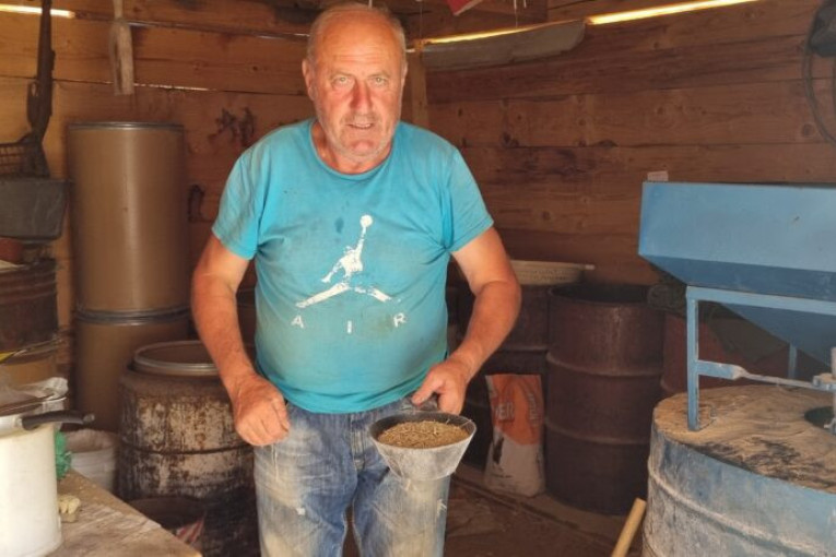 Srpsko seme raži čuva se u Svetskom trezoru biljaka u Norveškoj: Milovan decenijama uzgaja strna žita - ogromna je potražnja (FOTO)