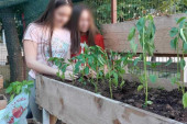 Niška škola pokrenula sjajan projekat: Uče decu da sama gaje voće i povrće, a u bašti nema šta nema (FOTO)