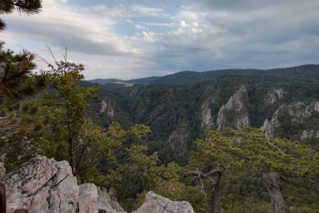 Vrata raja otvaraju se na ovoj srpskoj planini: Sokolarica nestvarno lep vidikovac na Tari (FOTO)