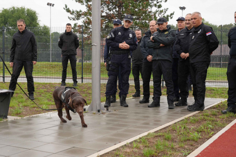 Vulin na vežbi Centra za obuku vodiča i obuku pasa: Oni služe da spasu ljudske živote, da zaštite našeg policajca (FOTO)