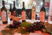"Možemo da stanemo na crtu svetskim sajmovima vina": Udruženje za biljnu proizvodnju ocenilo "Vinsku viziju Otvorenog Balkana"