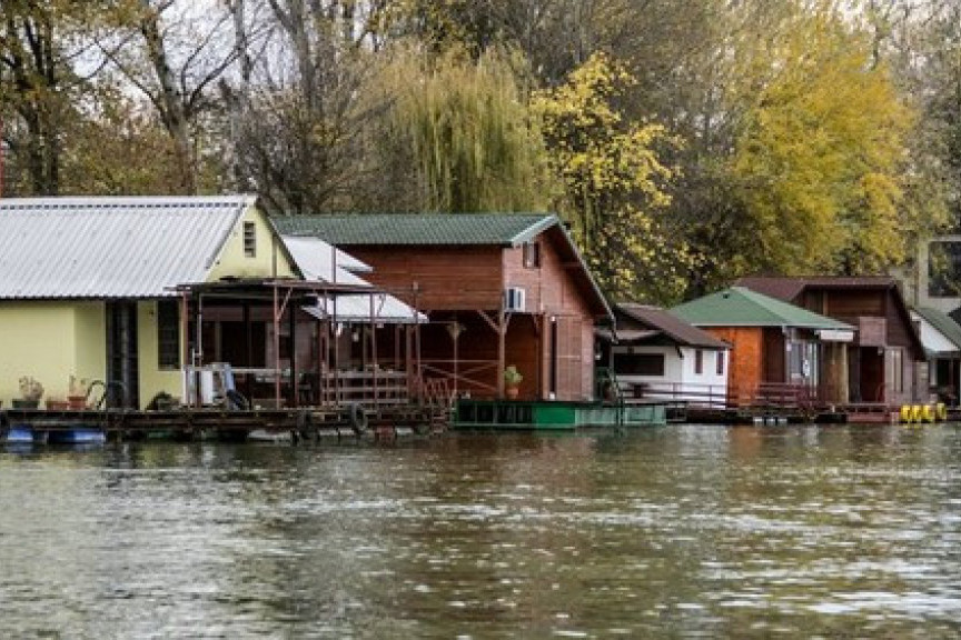 Alarmantni podaci: U Srbiji od afričke kuge svinja uginulo više od 29.000 životinja