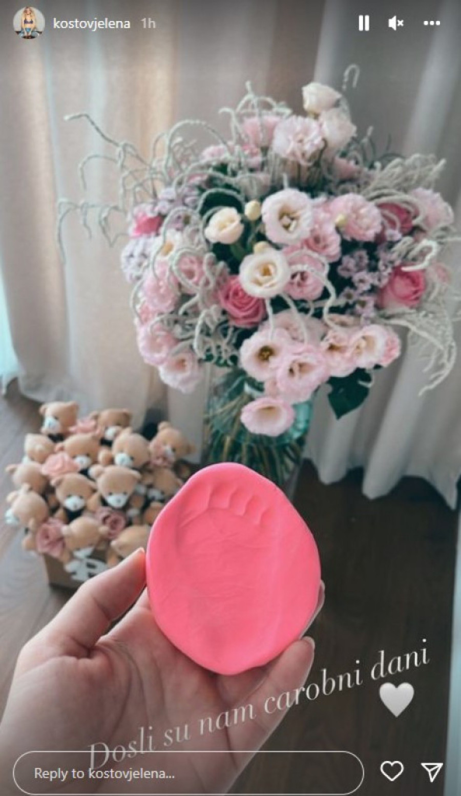 Stigle rode! Porodila se Jelena Kostov! Odmah se oglasila dirljivom porukom (FOTO)