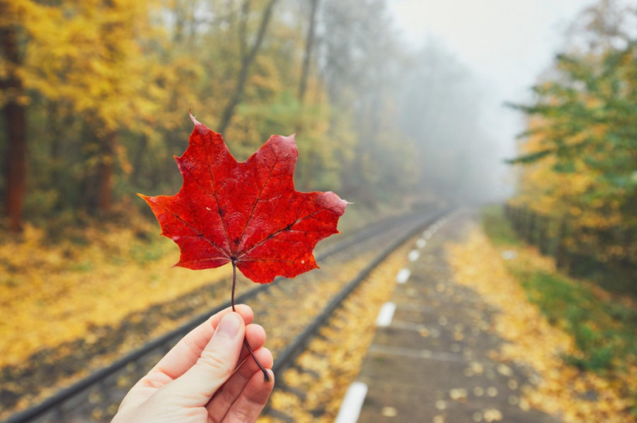 Nedeljni horoskop od 17. do 24. oktobra: Sreća se smeši Škorpionu i Lavu