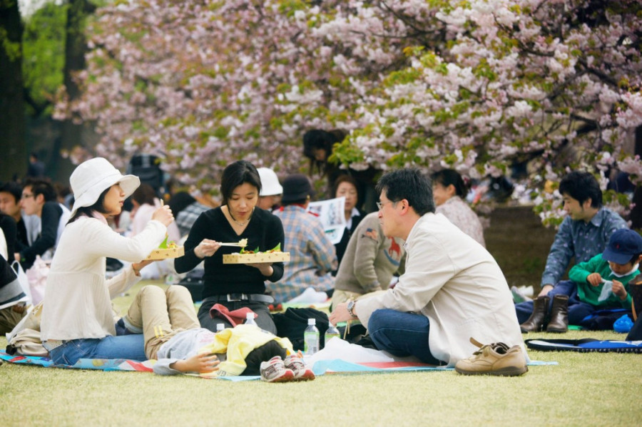 Sreća pomogne nekad – rad pomaže uvek i još 19 mudrih japanskih poslovica: Njihov mentalitet inspiriše i pogađa srž života