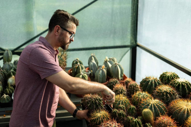 Doktor za ljude postao i doktor za kaktuse: Dovlačio ih u Srbiju iz čitavog sveta, a sada ima preko 1.000 vrsta (FOTO)