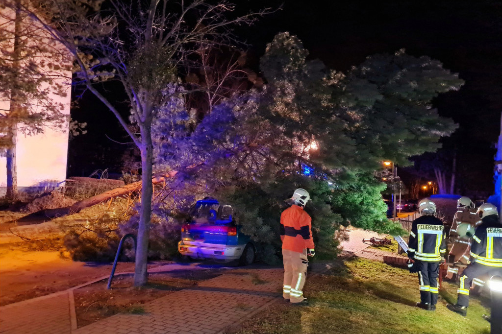 Haos zbog nevremena u Pančevu: Drvo palo na automobil, dve osobe povređene!