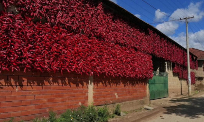 Selo kraj Leskovca svake jeseni postaje potpuno crveno: Ovde raste paprika koja ne uspeva nigde drugde na svetu