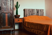 Da li imate kaktus u spavaćoj sobi? Hitno ga izbacite i unesite ovu biljku