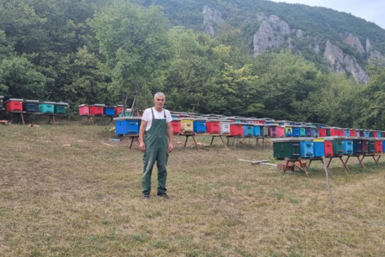 Esad je sam napravio 200 košnica koje je rasporedio na svom imanju! Ljubav prema pčelama pretočio u uspešan biznis