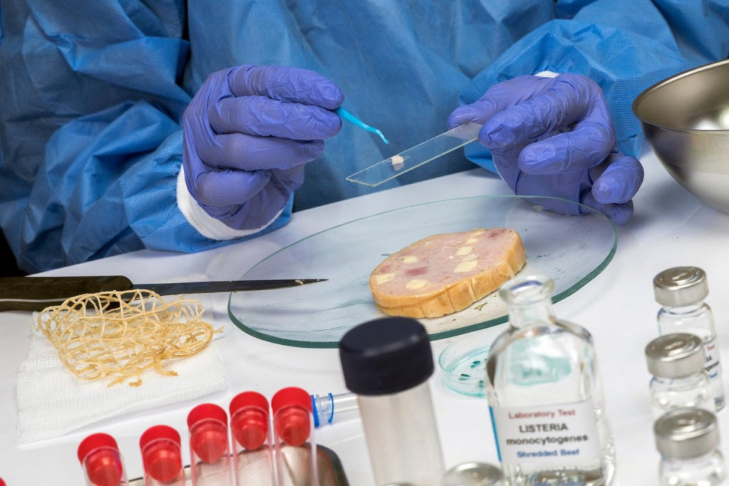 Pojavio se opasan parazit koji izaziva metastaze: Unosi se preko prljavštine i hrane, a širi ga životinja koje ima svuda!