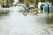 Uragan Ijan pričinio najveću štetu ikada: Više od 2,5 miliona stanovnika Floride dobilo upozorenje za evakuaciju (FOTO/VIDEO)