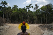 Ilegalni kopači zlata uništavaju prašumu Amazona (FOTO)