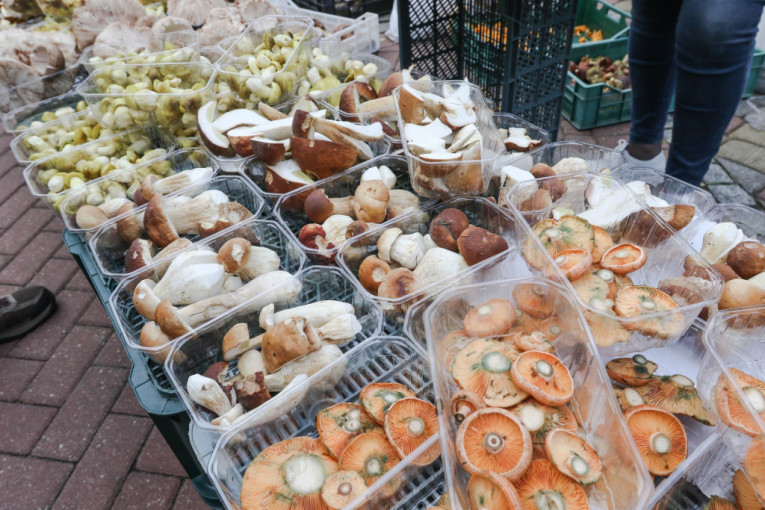 Simptomi trovanja pečurkama: Koje sve otrovnice postoje i šta izazivaju ludara, bljuvara, krompirača?