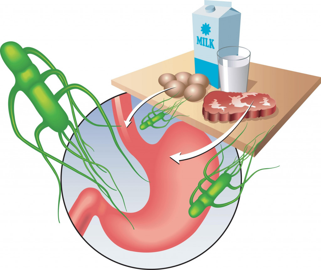 Oprez! Vreba opasna "letnja" zaraza, jedan pogrešan zalogaj može biti koban!