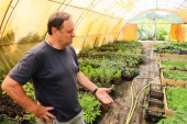 Da mu posao bude kao odmor: Kako je Čedo Đuran napravio rasadnik sa 1.000 vrsta biljaka