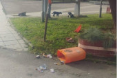 Bahatost i nekultura na delu: Polomili kante za smeće u centru Lučana, đubre raznosili psi lutalice (FOTO)