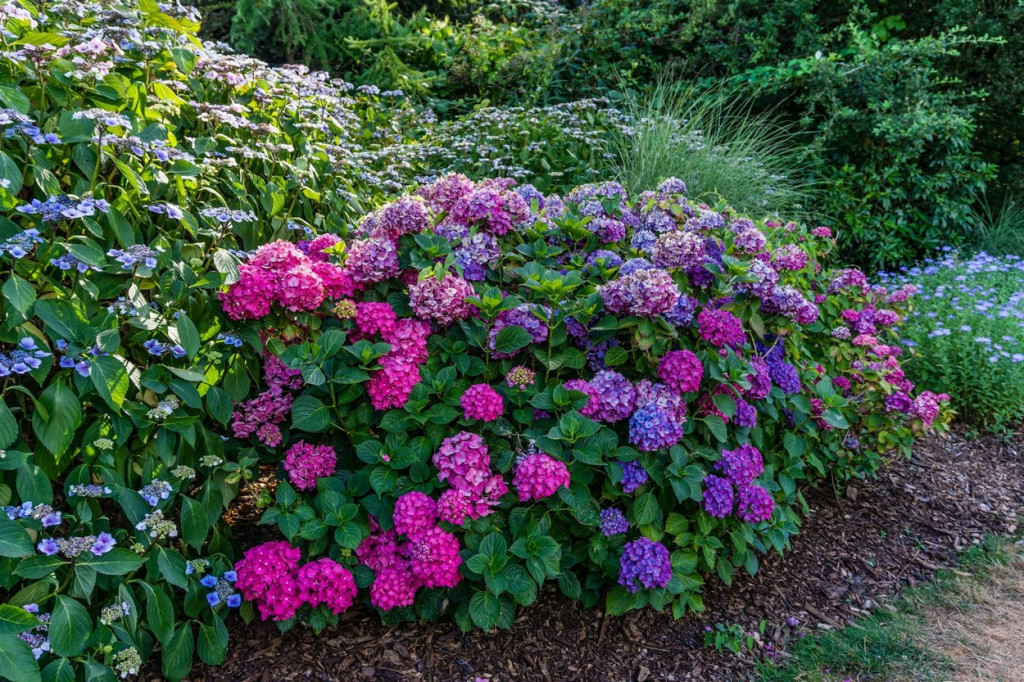 Zaboravljene mudrosti naših predaka: Tradicionalne metode borbe protiv letnjih žega na Balkanu