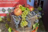 Praznik vina u srcu Šumadije: Narednog vikenda 60. Oplenačka berba u Topoli