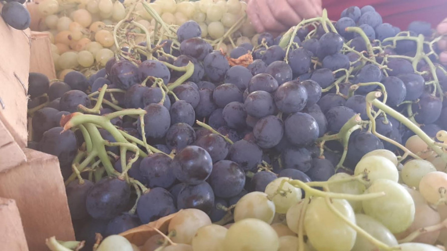 24sedam sa oplenačkim vinogradarima proslavio Svetog Trifuna: "Zaista, vinograd traži slugu, a vino gospodara" (FOTO/VIDEO)