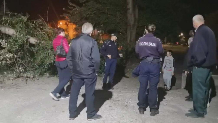 Poznato stanje dečaka na koga je palo drvo u Nišu: "Čuo se strašan vrisak"!
