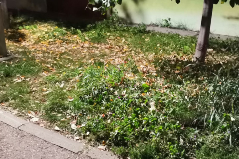 "Bilo je jezivo, molim Boga da dete preživi": Potresene komšije devojčice koja je pala sa šestog sprata u Nišu nisu spavale celu noć