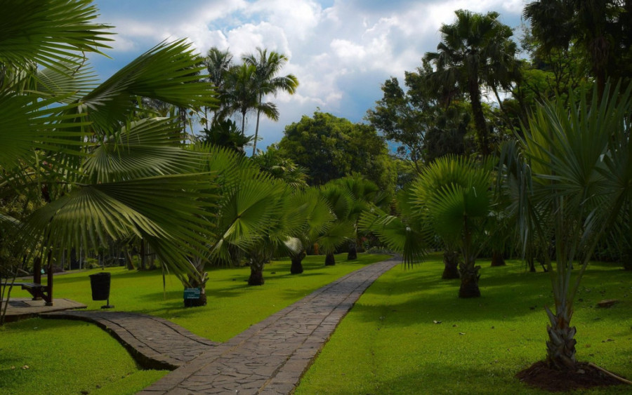Grad s najviše munja na svetu: Oluje se dešavaju 322 dana u godini