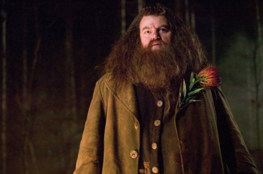 Pronađen je novi Hagrid: Ovaj glumac će ga igrati u seriji o Hariju Poteru (FOTO)