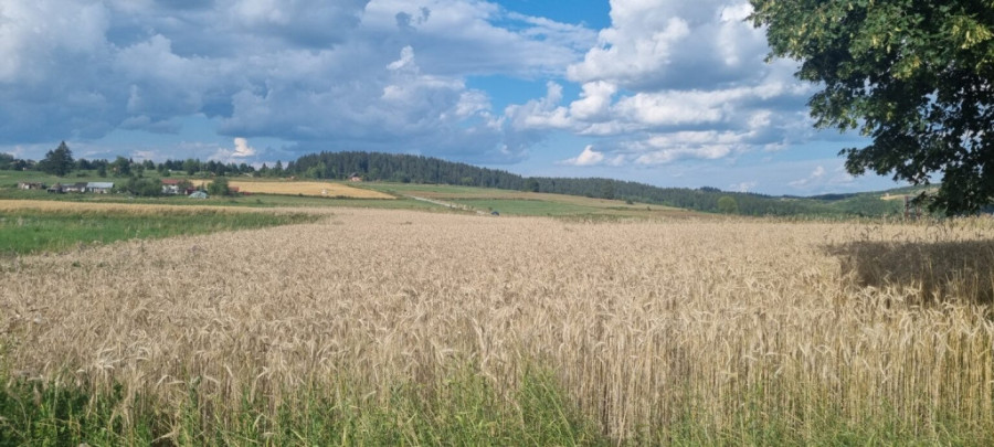 Privremeni poslovi i penzija: Evo kada vam se staž računa, a kada ne