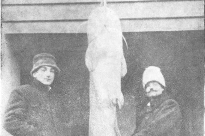 Istorija, glasine i političke igre: Kako je kraljević Đorđe Karađorđević postao "princ lažnih vesti" (FOTO)