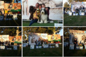 U Ćupriji održana prva međunarodna izložba pasa: Četvoronožni ljubimci oduševili sve (FOTO)