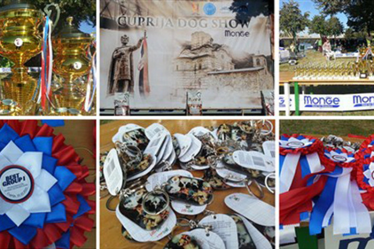 U Ćupriji održana prva međunarodna izložba pasa: Četvoronožni ljubimci oduševili sve (FOTO)