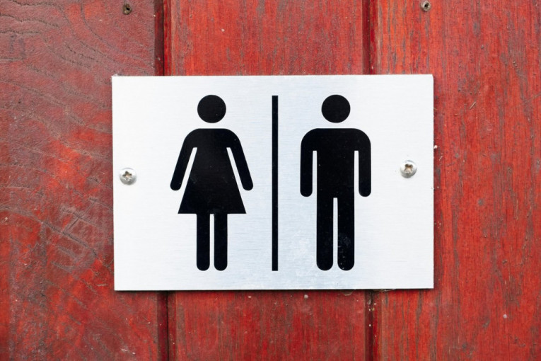 Znate li šta predstavlja ženski znak na vratima toaleta? Većina misli da je haljina, ali nije