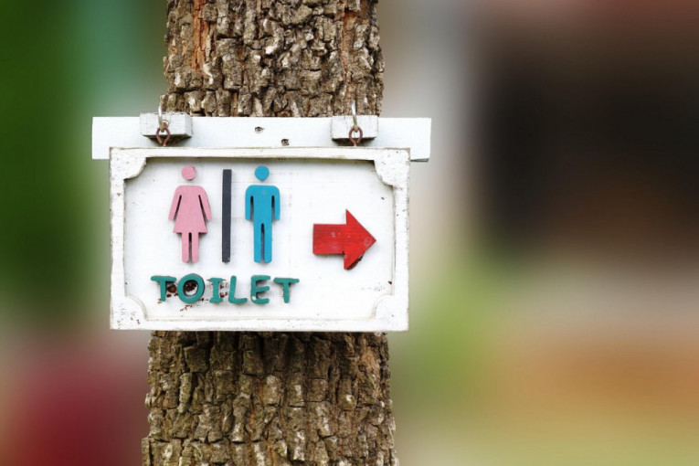 Ovo je najluksuzniji javni toalet na svetu: Nikada ne biste mogli da poverujete da se nalazite u WC-u (FOTO)