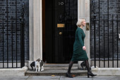 Mačak Lari u trci za premijera Velike Britanije