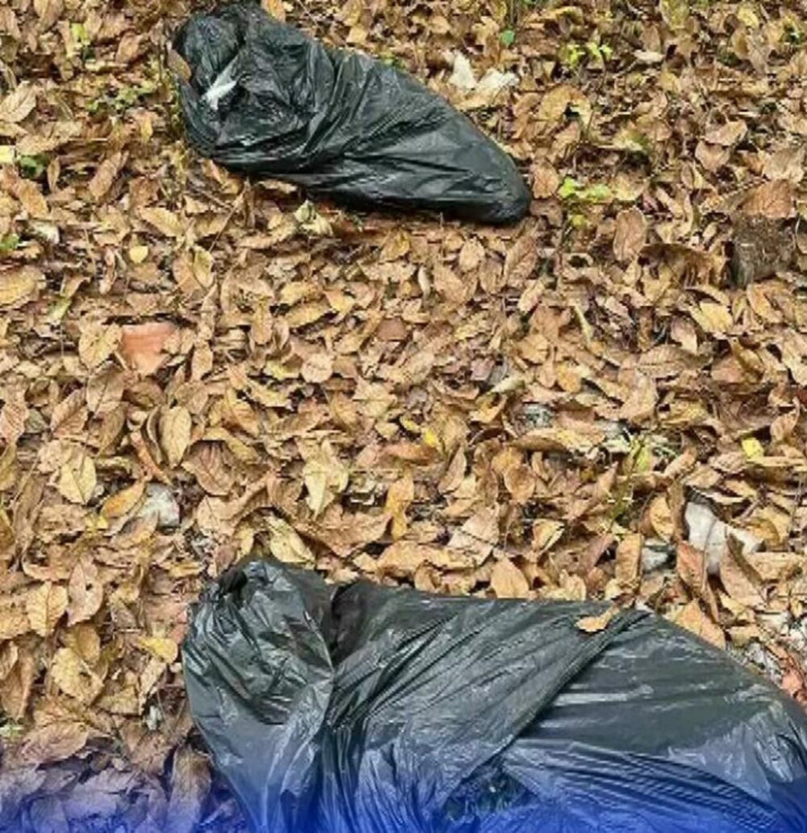 Bacili džakove sa šest kilograma marihuane i počeli da beže: Mladić (19) uhapšen, za drugim se traga