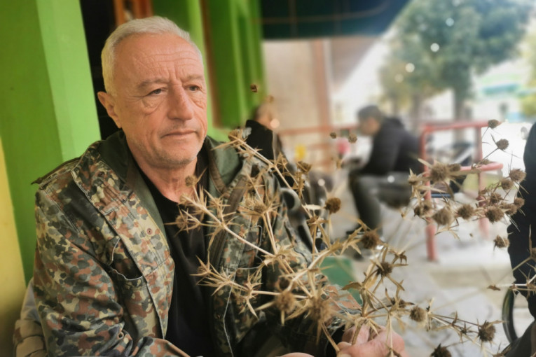 Čudotvorni protivotrov za gljive otrovnice i lek za mnoge bolesti: Milan pronašao biljku u narodu poznatu kao gujina trava!