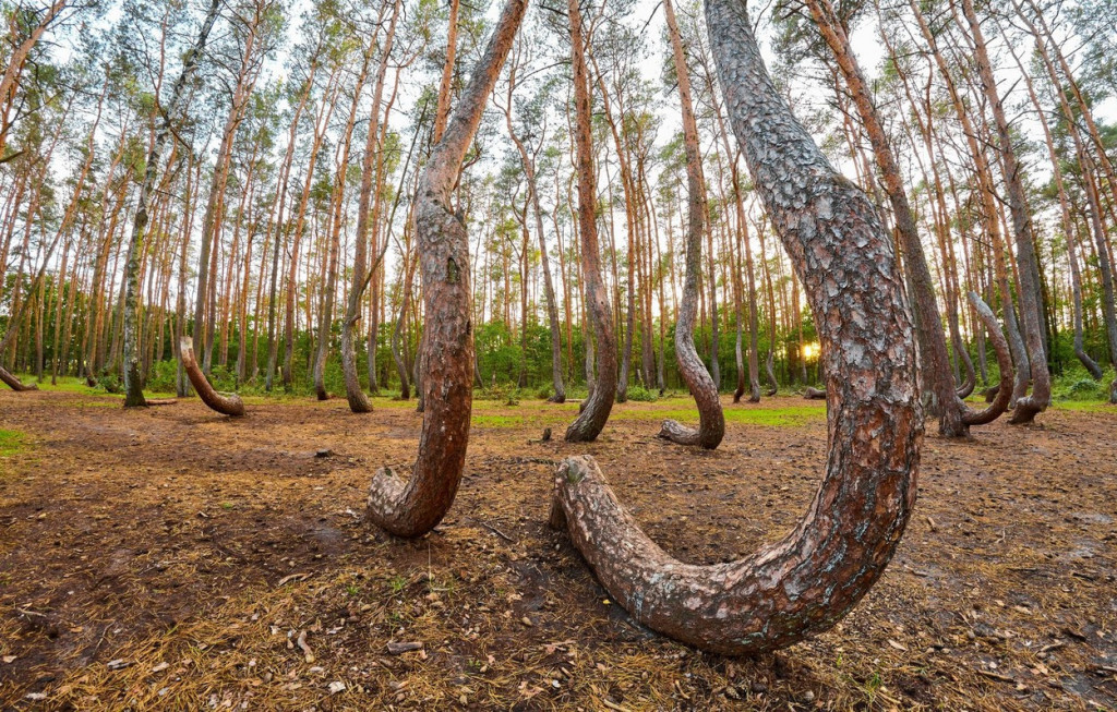 Malo poznate činjenice o svetskim atrakcijama koje zvuče nestvarno, ali ...
