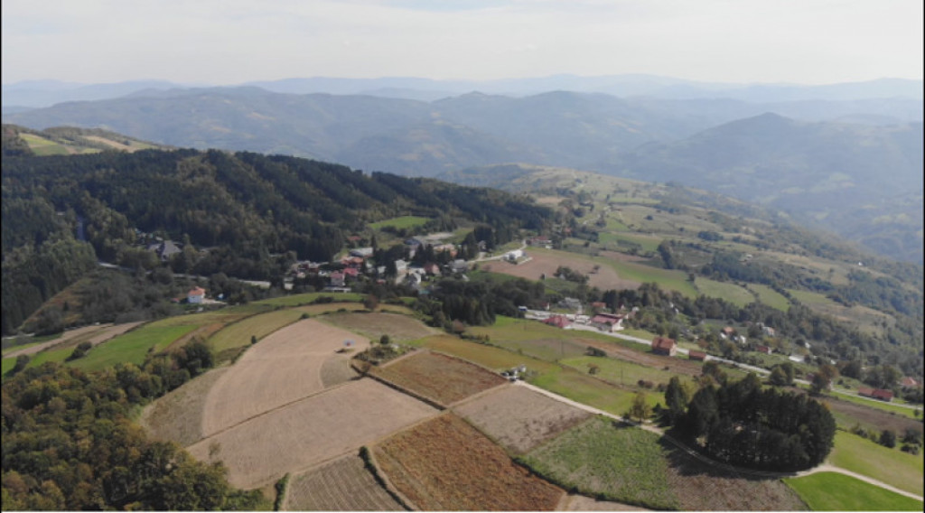 Jedan krompir težak preko dva kilograma: Na visovima planina Mučanj i Javor rađa najkvalitetnija krtola u regionu (FOTO)